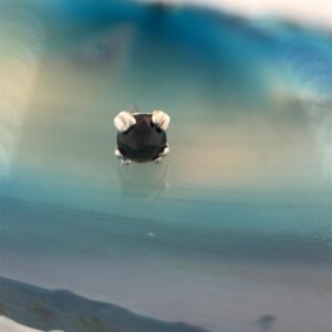 Prong 2.5mm Rose Cut Onyx 14k White